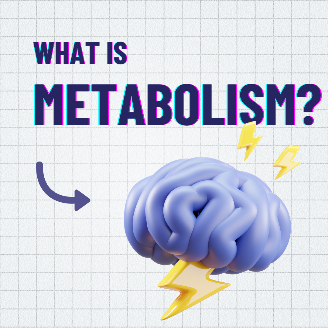 what-is-metabolism