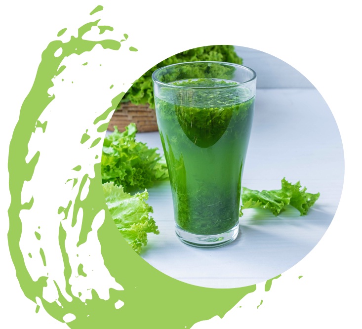 The green Elixir The green Elixir